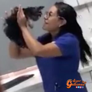 Veterinaria bailando con un gatito se vuelve viral en Facebook