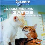 Disfruta de “La Guía Máxima de los Gatos”