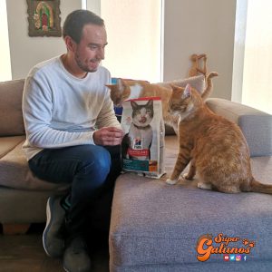 ¡Consejos Gatunos!
