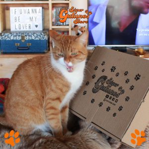 ¡Caja Gatuna Aniversario!