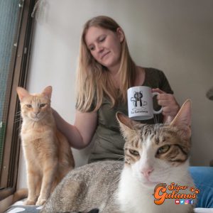 Cierra el primer café con gatos de España por los efectos del Coronavirus