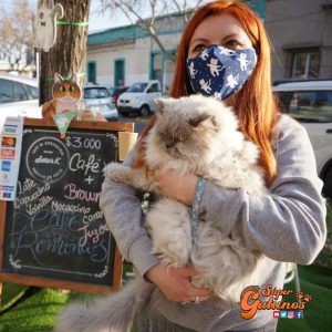 El catcafé «El Mundo de Dalí» vuelve a atender público con colorida terraza gatuna