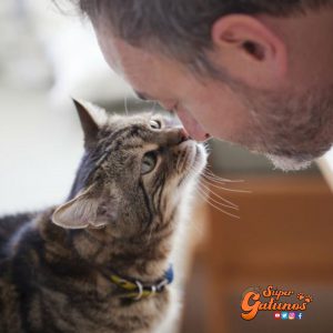 Estudio científico concluye que existen 5 tipos de personalidades de cuidadores de gatos