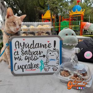 La hermosa historia de “Antonio” quien tuvo que vender cupcakes para salvar uno de sus ojos