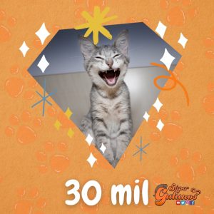 Llegamos a los 30 mil seguidores en Instagram