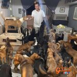 Hombre resguardó en su casa a 300 animales abandonados para protegerlos del paso del huracán Delta