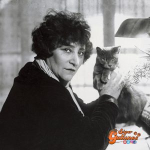 ¡Frases Gatunas!