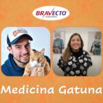 La primavera y nuestros gatos