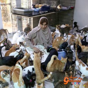 La impresionante historia de Maryam quien vive con 500 gatos rescatados en Omán