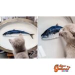 Pintor chino engaña a su gatito con un pescado hiperrealista dibujado en 3D