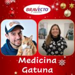 El Árbol de Navidad y los Gatos