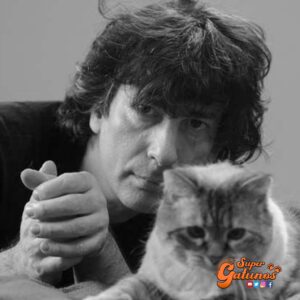 «Llamar a los gatos tiende a ser una actividad bastante sobrevalorada. Bien podría llamar un torbellino»