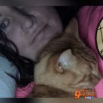 Gatito regresa a casa después de 6 años desaparecido para acompañar a su cuidadora que lucha contra el COVID-19