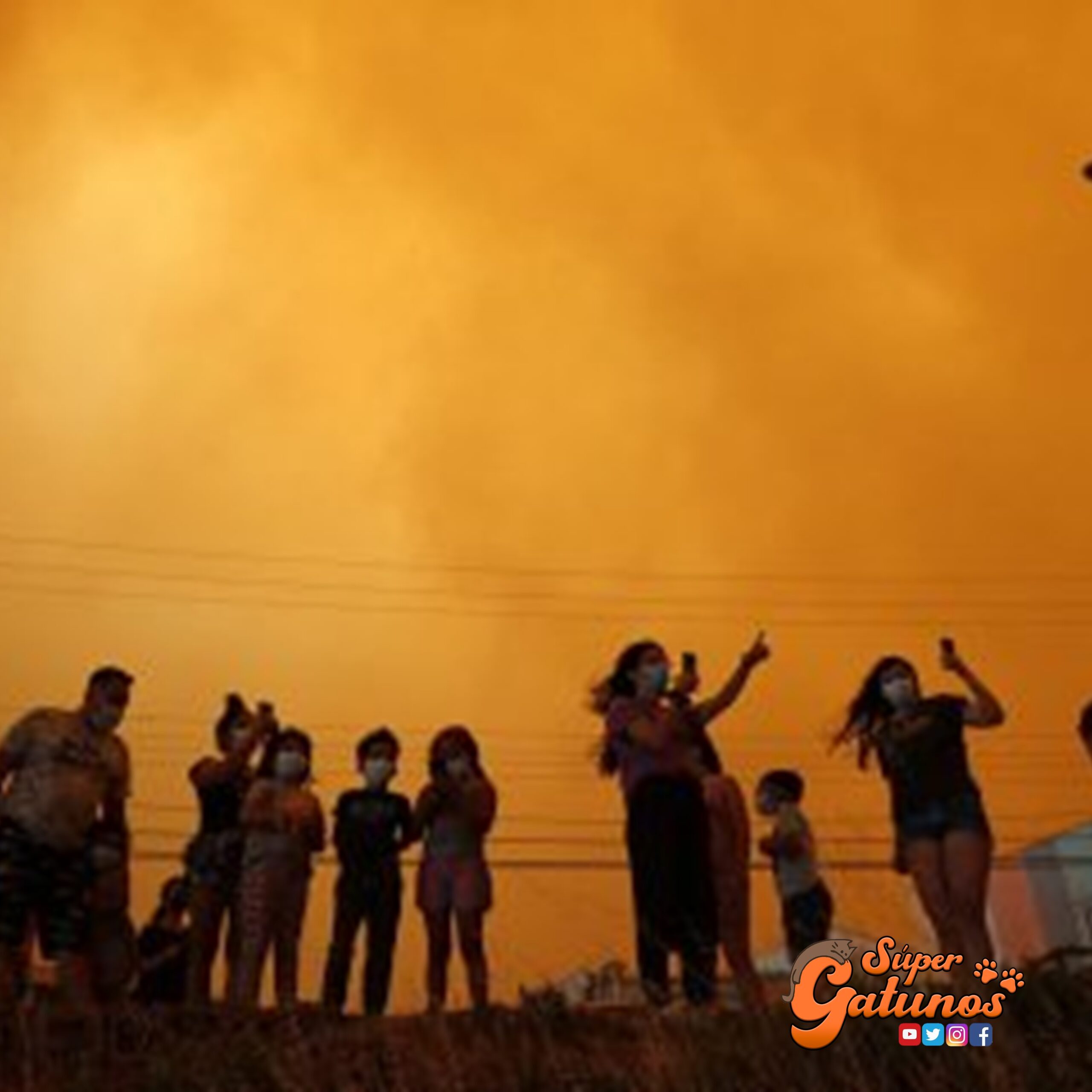 Llaman a no olvidar a las mascotas en el incendio forestal de Quilpué