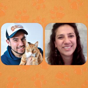 Conoce las nuevas tendencias en alimentos para gatos
