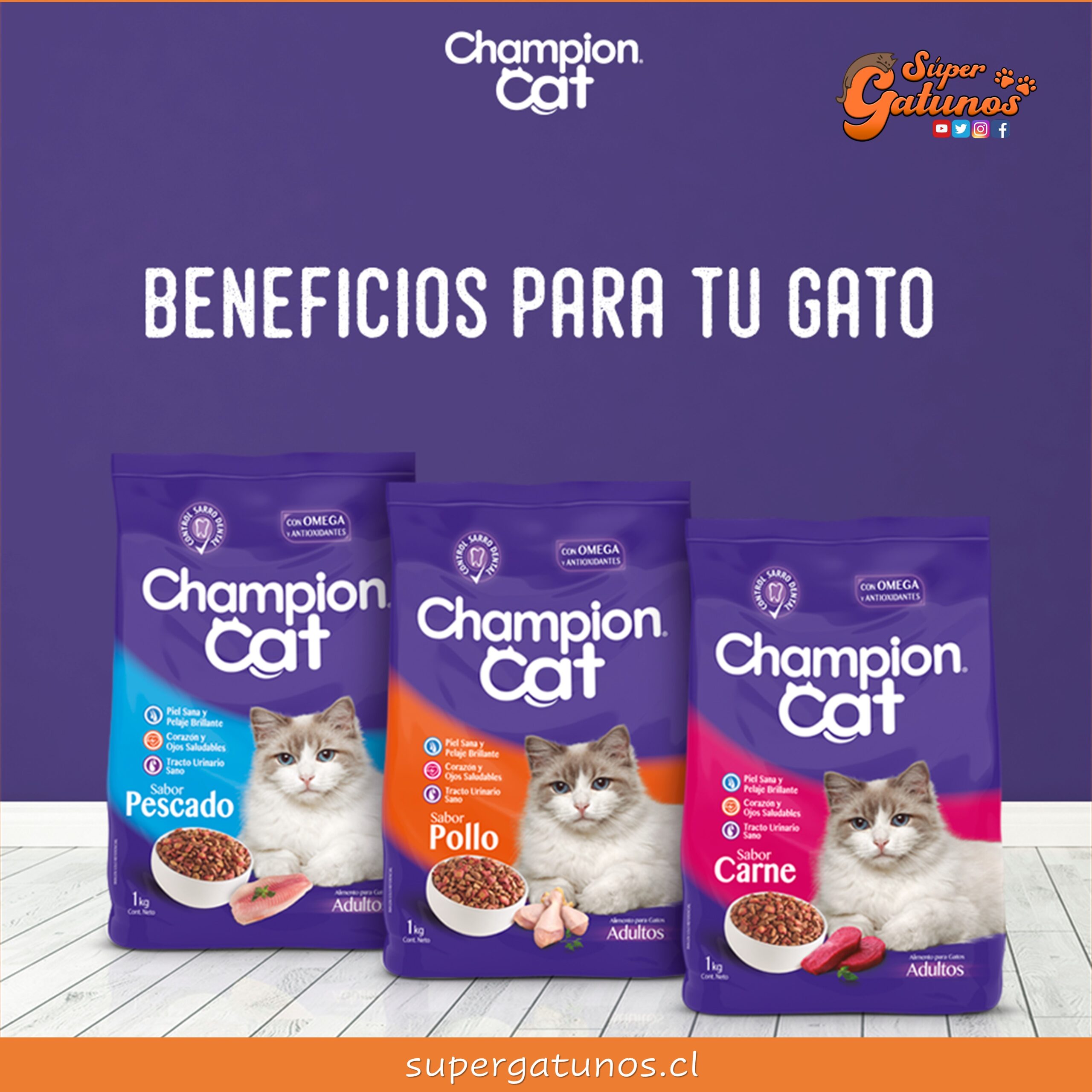 “Champion Cat” decide retirar del mercado todo el alimento seco para Adultos