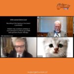 Abogado se viraliza por llegar a audiencia virtual con tierno filtro de gato