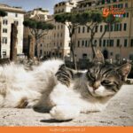 Familia contagia a su gato con variante británica del Covid-19 en Italia