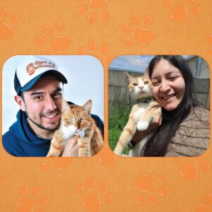 Conoce cómo afecta la Salinomicina en la salud de nuestros gatos