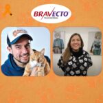 ¿Cuál es el baño sanitario ideal para hacer felices a nuestros gatos?