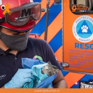 Inauguran centro veterinario que atiende casos de rescate y maltrato en México