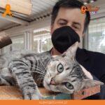 Proponen permiso especial para urgencias médicas veterinarias en cuarentena