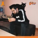 Famoso streamer español publica que su gato está complicado de salud