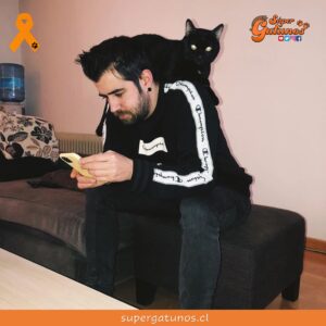 Famoso streamer español publica que su gato está complicado de salud