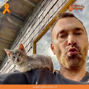 Jordi Castell rescata a una gatita recién nacida y huérfana en Chiloé