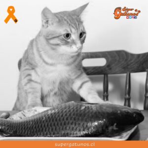 “Un compatriota entre dos abogados es como un pez entre dos gatos”