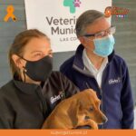 Adelantan imágenes de la nueva Veterinaria Municipal de Las Condes