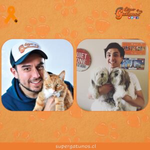 Conoce a “PetFamily», el proyecto educativo de un grupo de universitarios