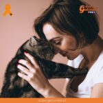 Lanzan curso online sobre “Todo lo que necesitas saber de tu gato”