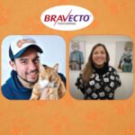 ¿Cuáles son los beneficios de tener un gato?