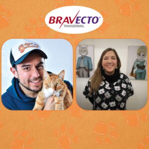 ¿Cómo debemos cuidarles las patas de nuestros gatos?