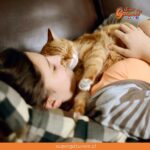 ¿Sabías que nuestros gatos detectan cuando estamos tristes?