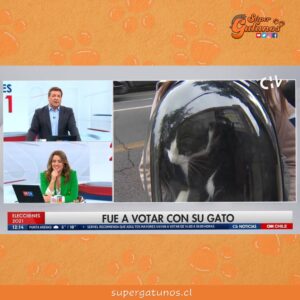 Chilevisión entrevista a una cuidadora que fue con su gato a votar