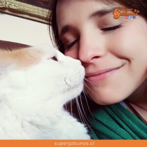 Estudio confirma que los gatos desarrollan el mismo apego que los bebés
