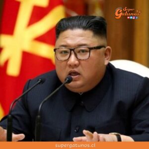Kim Jong-un ordena eliminar gatos en Corea del Norte por el Covid-19