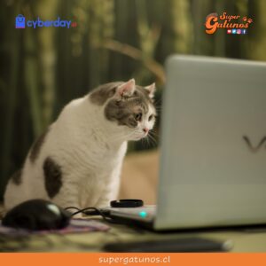 Hasta un 30% de descuento ofrecemos en nuestro “Cyber Gatuno”