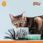 Hasta $1,2 millones al año cuesta mantener a nuestros gatos