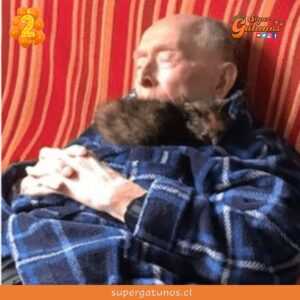 Abuelito de 100 años adopta una gatita para combatir su soledad