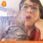 Colegio Médico Veterinario nos saluda por nuestro segundo aniversario