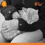 “Con lo limpio, cariñosos, pacientes, dignos y valientes que son los gatos, me gustaría saber cuántos de nosotros podríamos ser gatos”