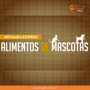 SERNAC revela que alimentos para gatos son más caros que los de perros