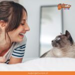 ¿Sabías que hablarles a nuestros gatos fortalece el vínculo con ellos?