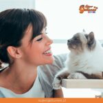 ¿Sabías que hablarles a nuestros gatos nos ayuda a sentirnos menos solos?