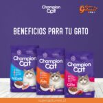 SERNAC exigirá compensación en caso “Champion Cat”