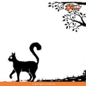 “Yo soy el gato que camina solo y todos los lugares se parecen a mí”