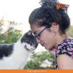 ¿Sabías que los gatos se frotan con nosotros cuando quieren cariño?